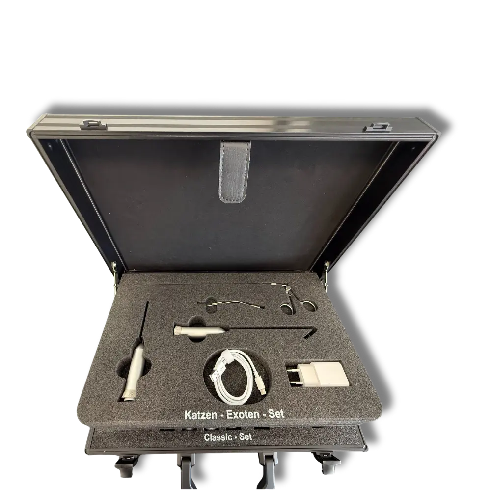 Untitled design - 2026-01-19T125347.359.webp