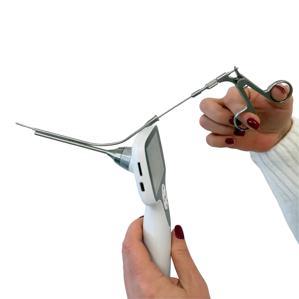 Untitled design - 2026-01-19T130348.766.webp