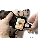 Untitled design - 2026-01-19T131727.457.webp