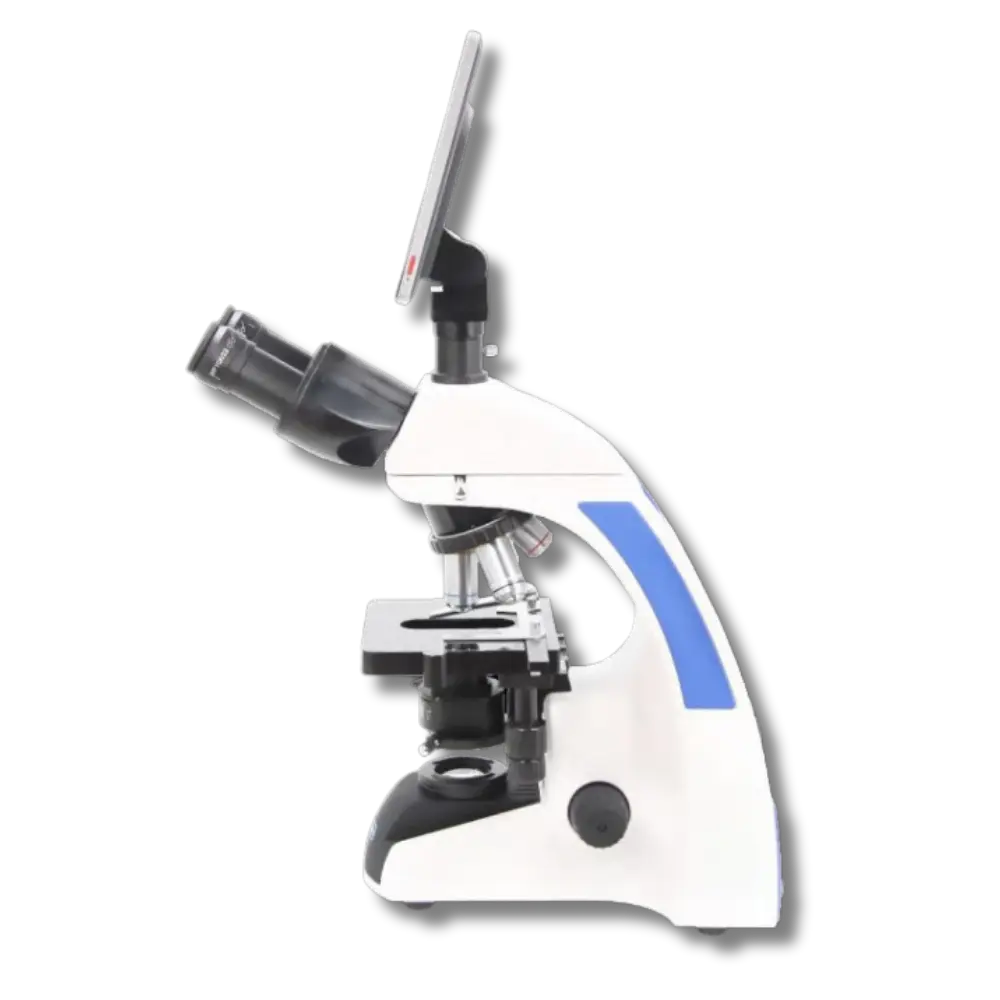 Untitled design - 2026-02-02T092439.960.webp