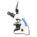 Untitled design - 2026-02-02T092439.960.webp