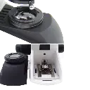 Untitled design - 2026-02-02T092638.554.webp