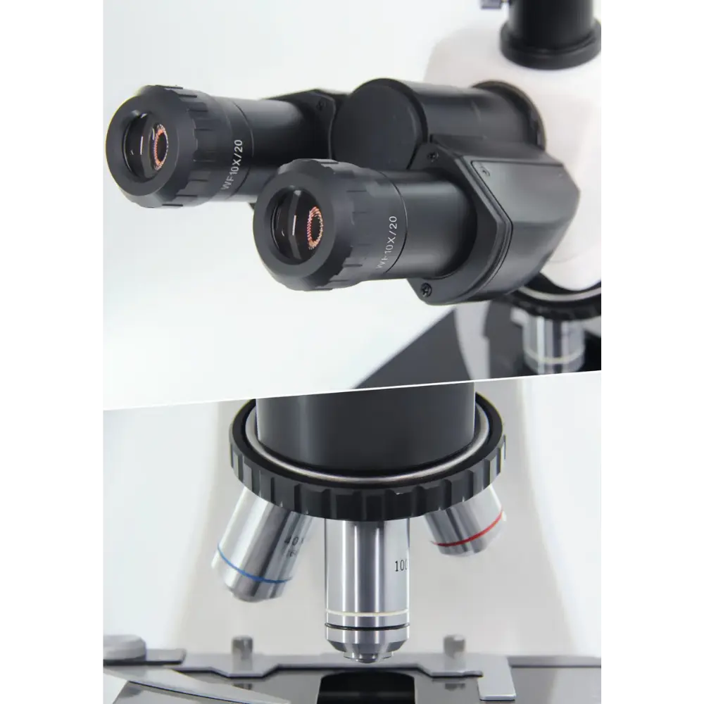 Untitled design - 2026-02-02T092918.011.webp