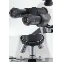 Untitled design - 2026-02-02T092918.011.webp