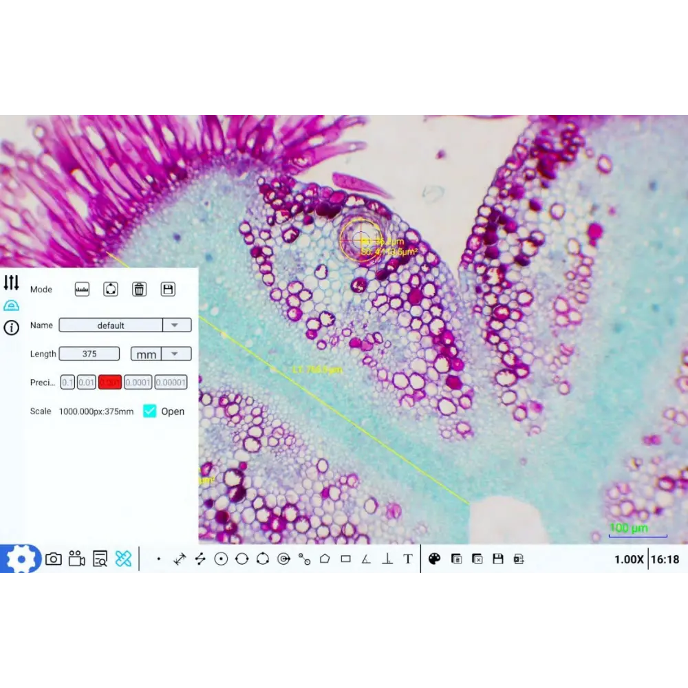 Untitled design - 2026-02-02T093028.766.webp