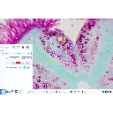 Untitled design - 2026-02-02T093028.766.webp