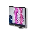 Untitled design - 2026-02-02T093517.367.webp