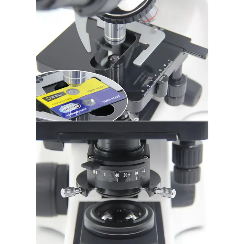 Untitled design - 2026-02-02T093716.053.webp