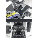 Untitled design - 2026-02-02T093716.053.webp