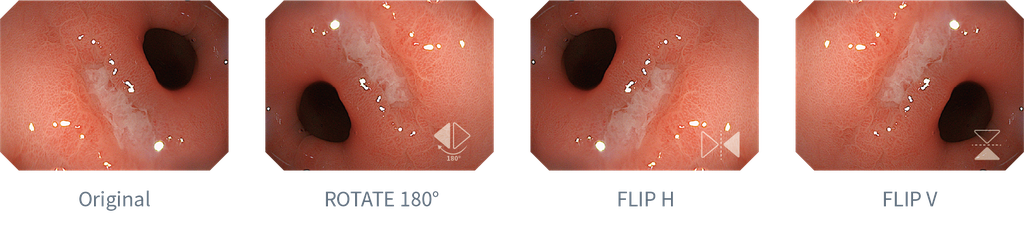 Aohua Vet OR-160 All-in-one Endoskopiesystem