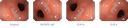 Aohua Vet OR-160 All-in-one Endoskopiesystem
