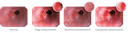 Aohua Vet OR-160 All-in-one Endoskopiesystem