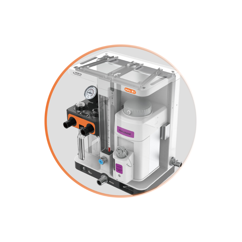 Mindray Veta 3X Absorbertopf KIT