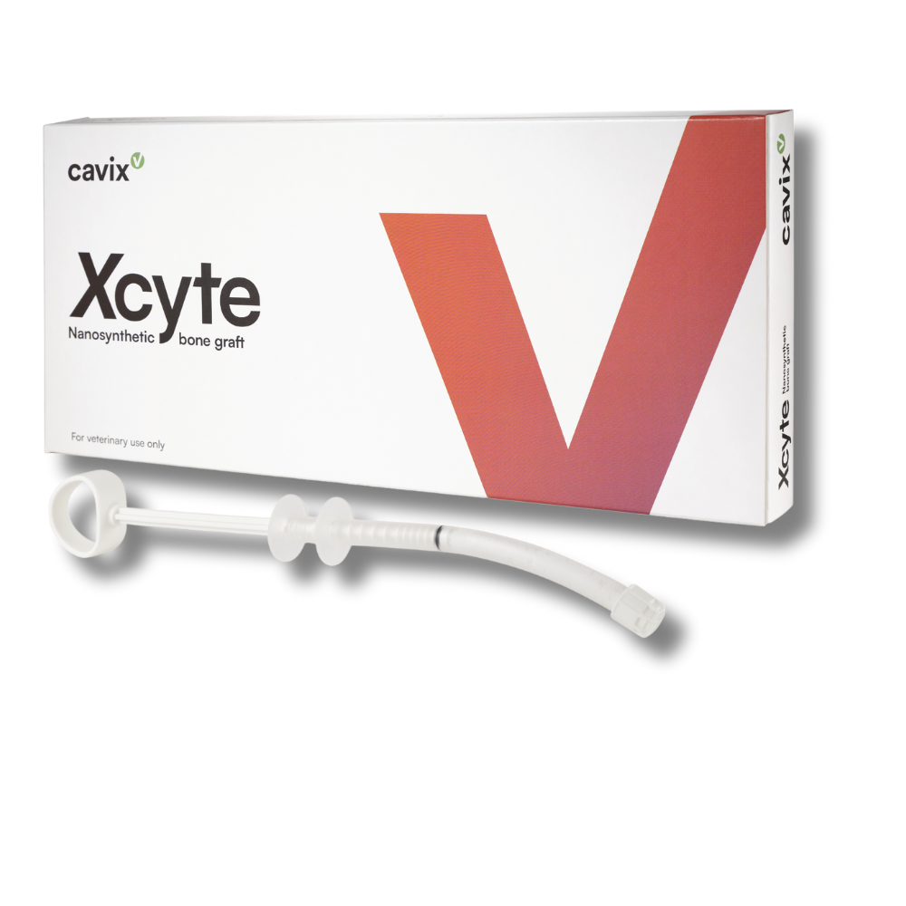 Xcyte Nanosynthetic bone graft 2,5 ml Spritze