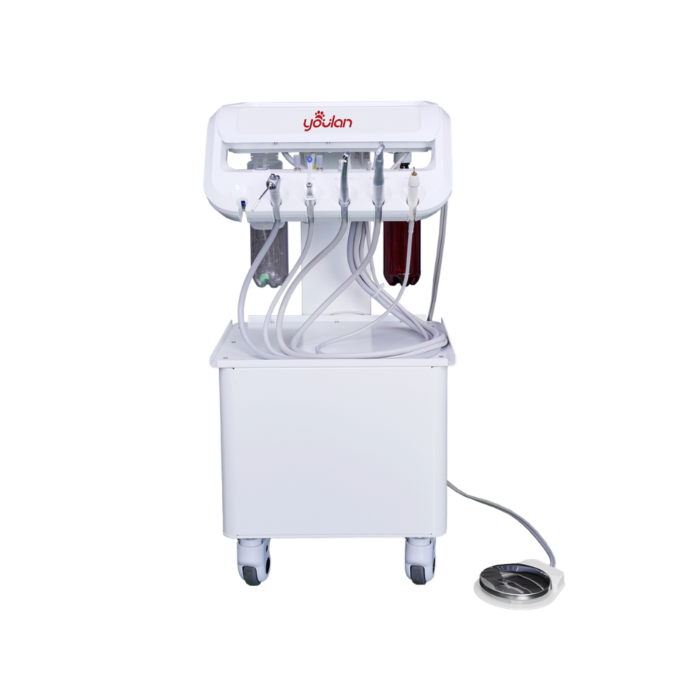 Youlan FC-6 PLUS Vet Dental Workstation