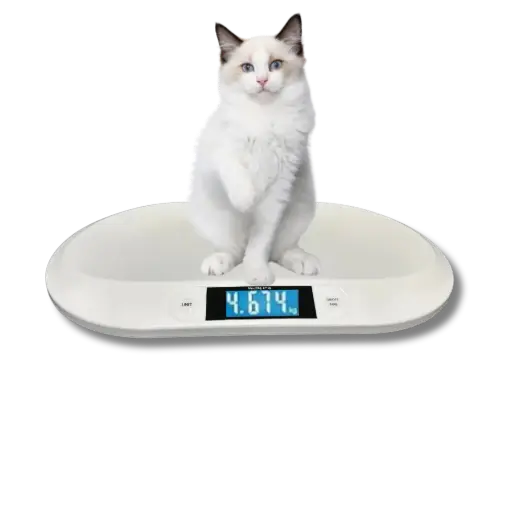 [TTPS-20] Kleintierwaage bis 20 kg