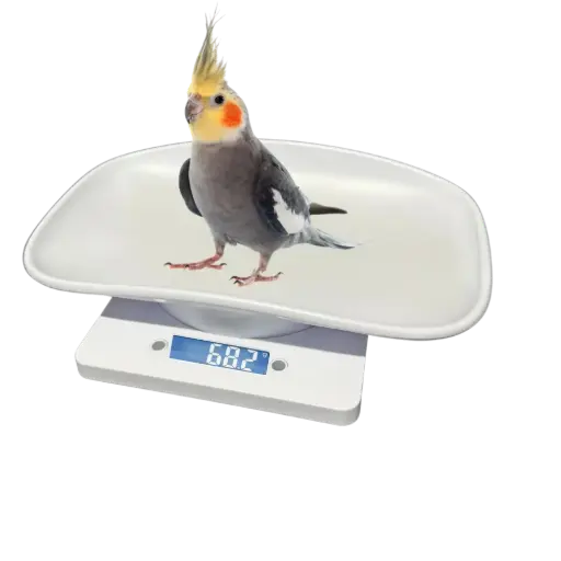 [TTPS-03] Kleintierwaage bis 5 kg