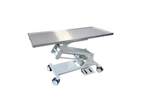 [P648605] PannoMed BASE LIFT Tisch feststehend akku fixe Edelstahlplatte