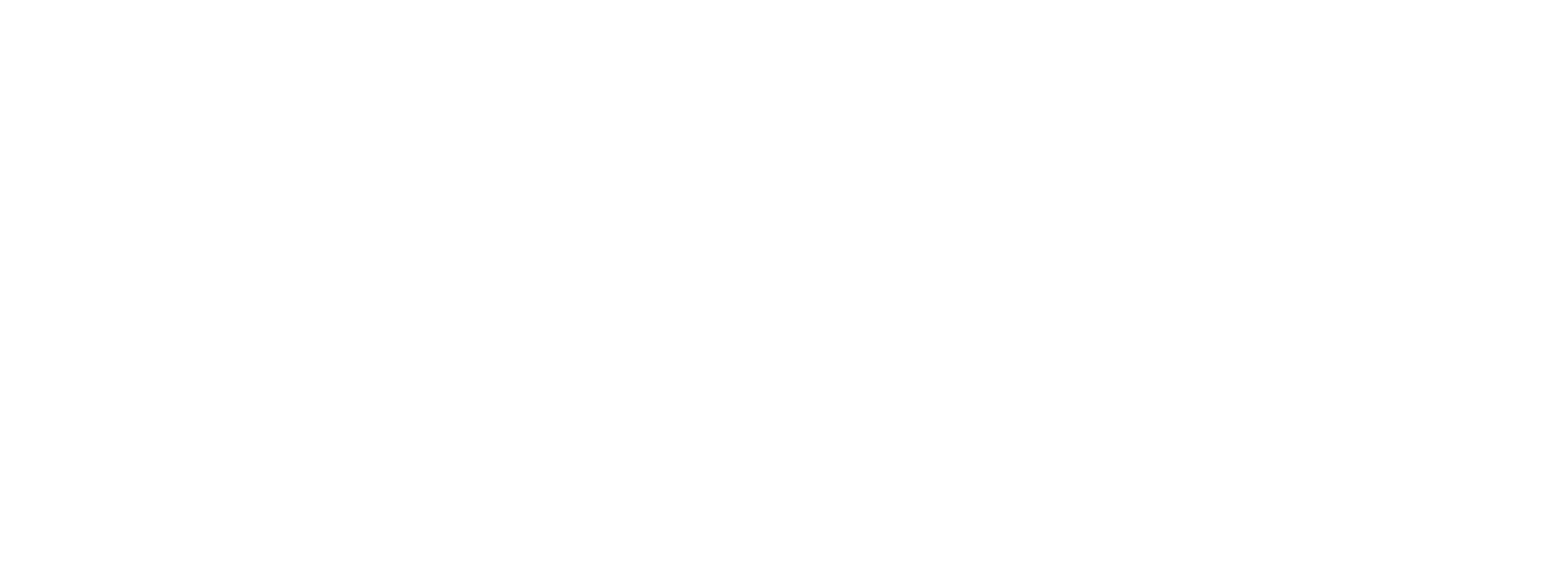 Rauberger Medical Trading GmbH